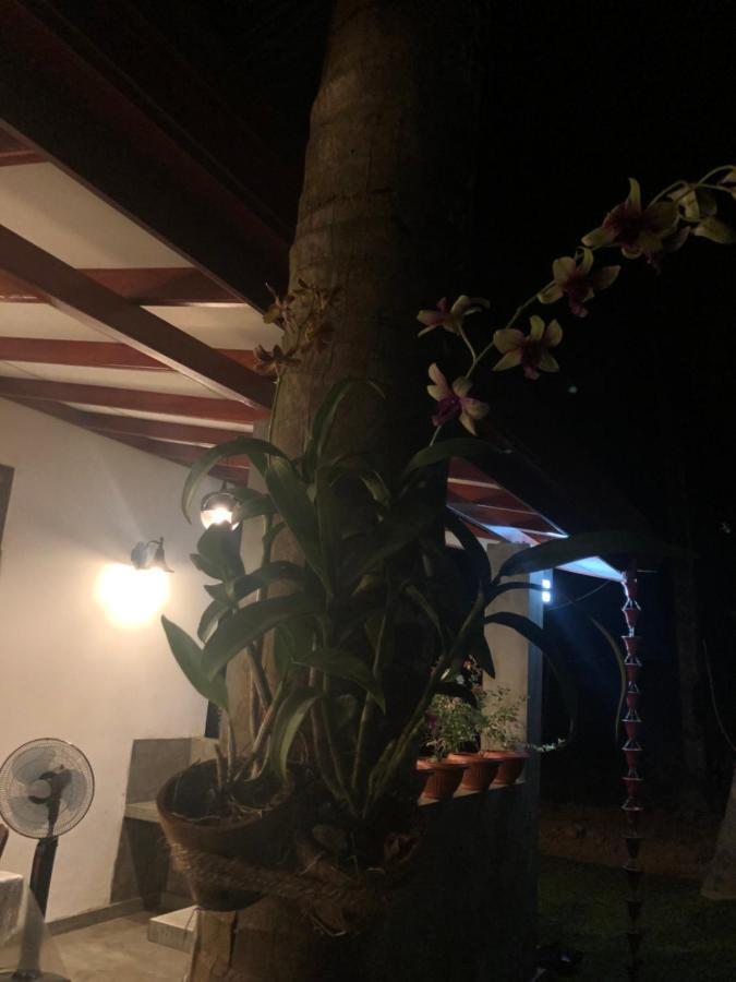 Lohas Villa Hiriketiya Dikwella Sur Exterior foto