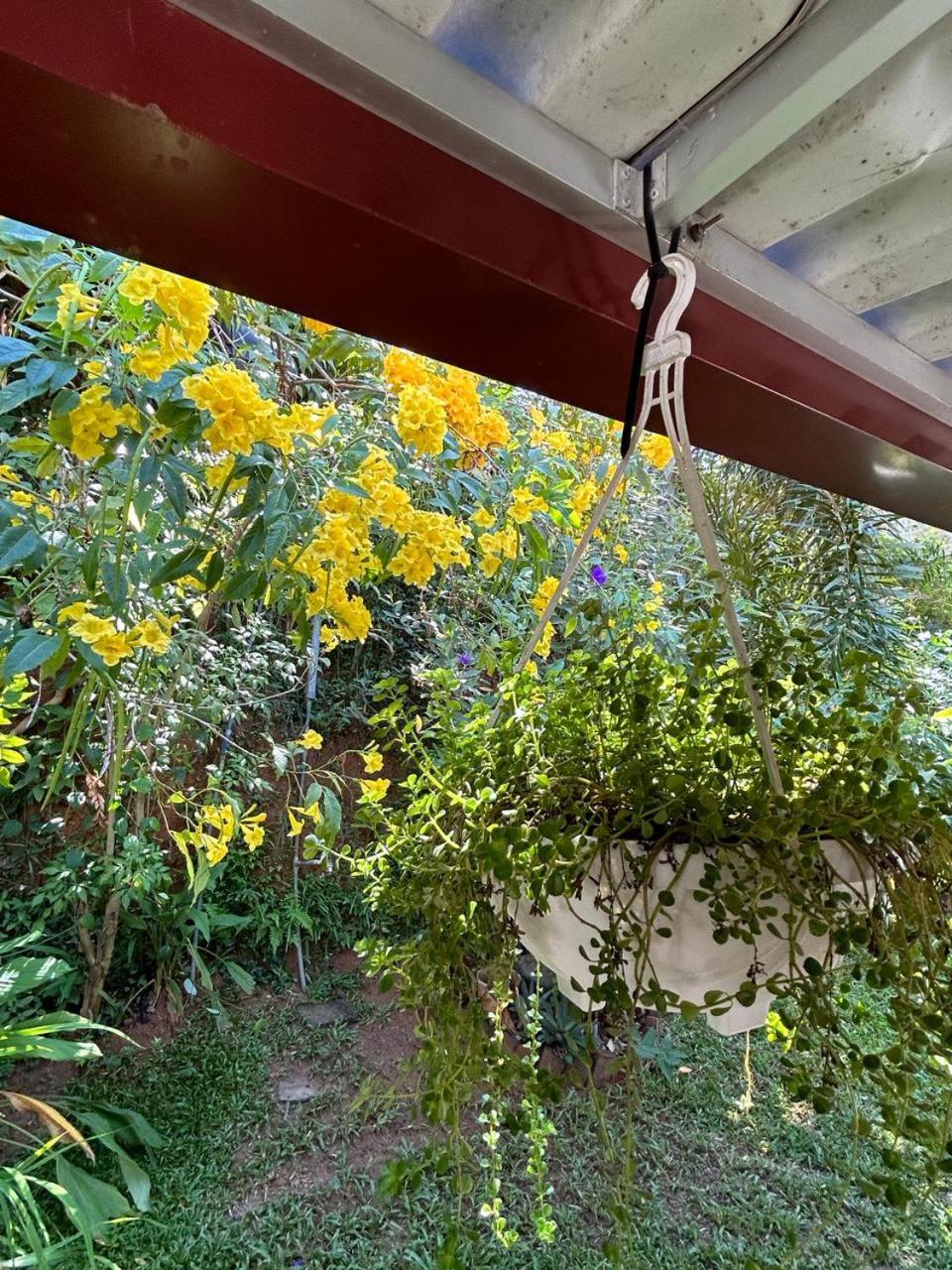Lohas Villa Hiriketiya Dikwella Sur Exterior foto